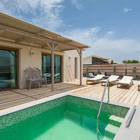 فيلة In Take A Swim In Our 15m Long Pool *